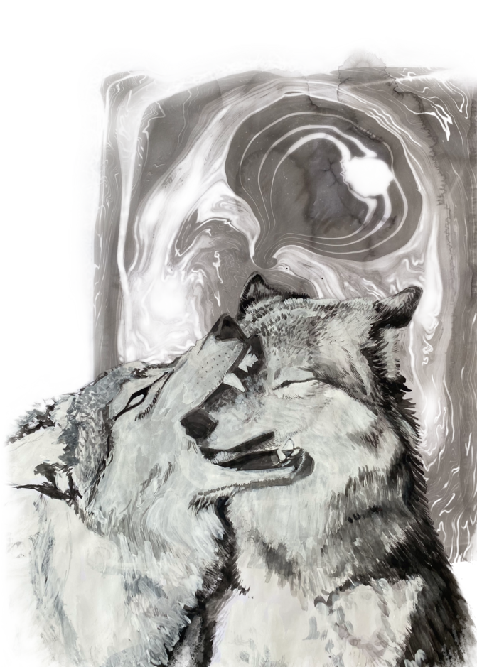 Wolf Play Art | Laura Eliason