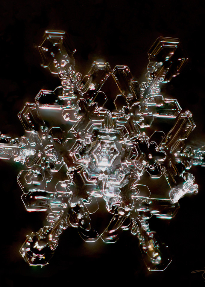 Snowcrystal From 1/5/2022 My Favorite Photography Art | Real Snowflake Photography LLC