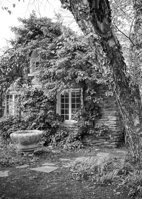 Ivy-Covered Stone Cottage, Monochrome