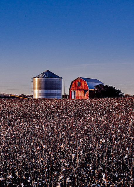 Cotton Farm Photography Art | John's Photos