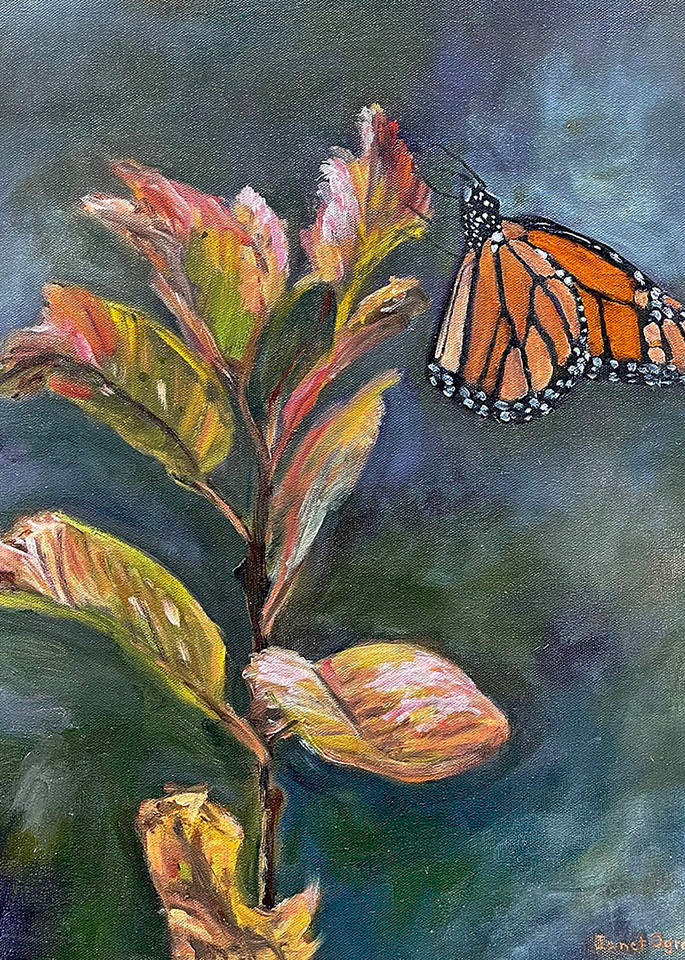 Monarch On Milkweed Print, Janet Ogren