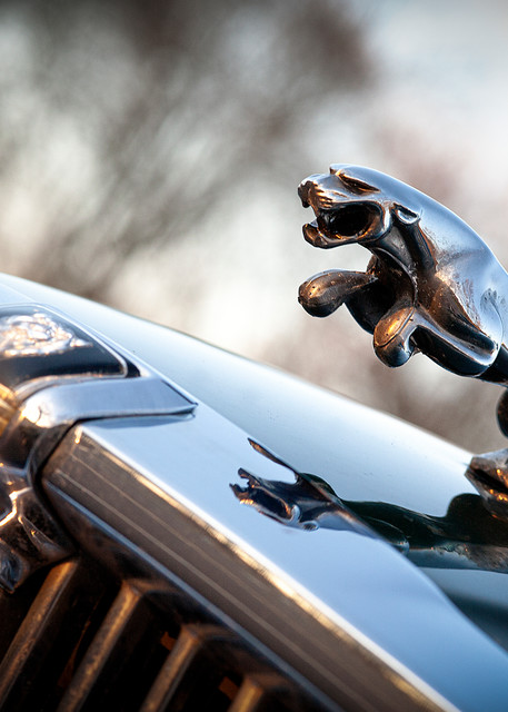 Jaguar Hood Ornament