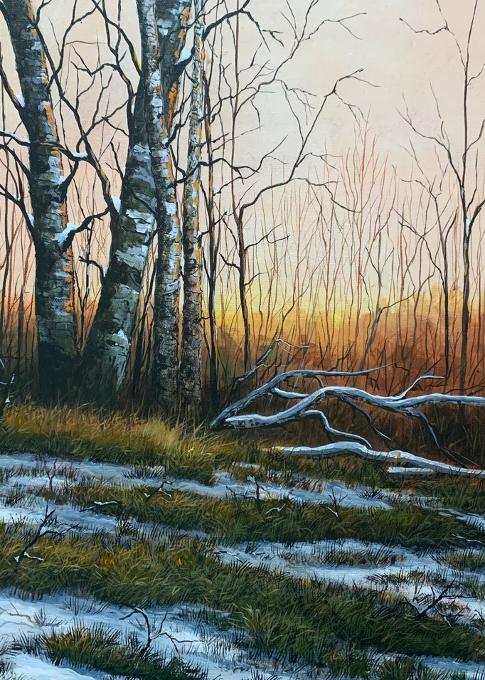 Winter Birch Trees Art | Skip Marsh Art