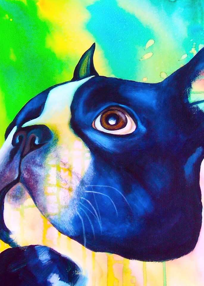 Boston Terrier 4 Art | Art by Melanie Anderson