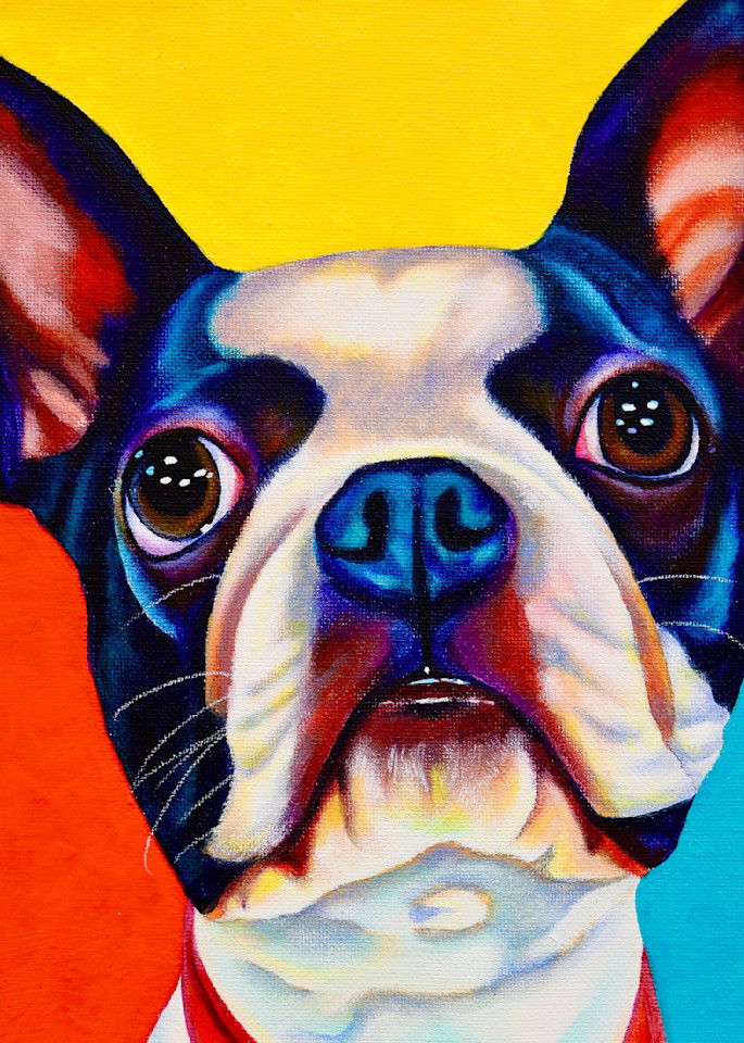 Boston Terrier 2 Art | Art by Melanie Anderson