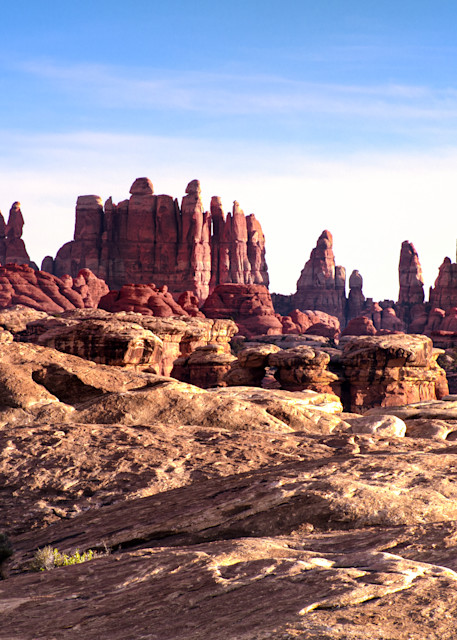 In  Canyonlands National Parks, the formation know as the needles stretch into the blue sky - fine art photography print