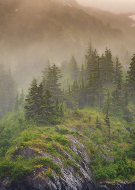 Alaskan Fog Photography Art | Christabel Devadoss Photography
