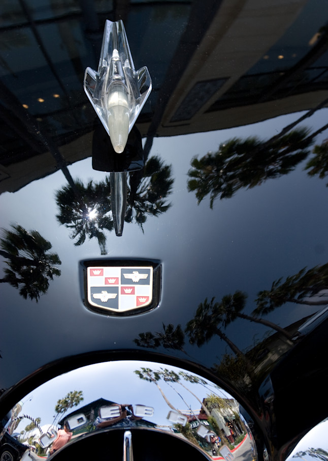 Palm Trees Reflected In Black And Chrome Photography Art | Gatesman Photography