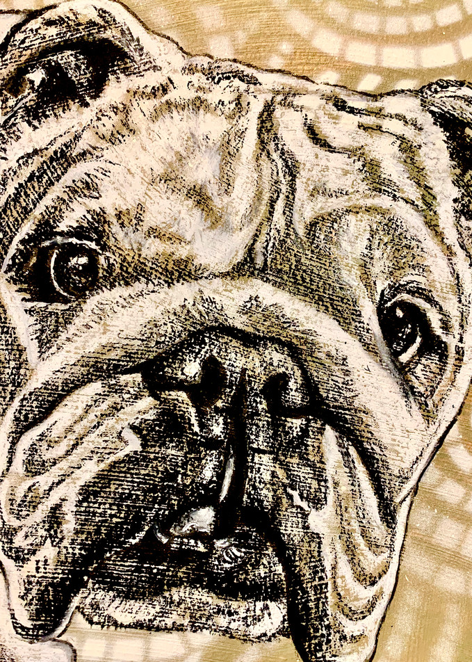 Bulldog 2 Art | Art by Melanie Anderson
