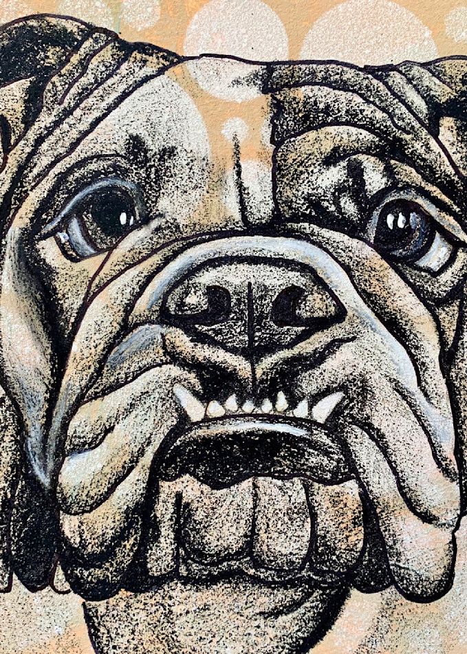 Bulldog Art | Art by Melanie Anderson