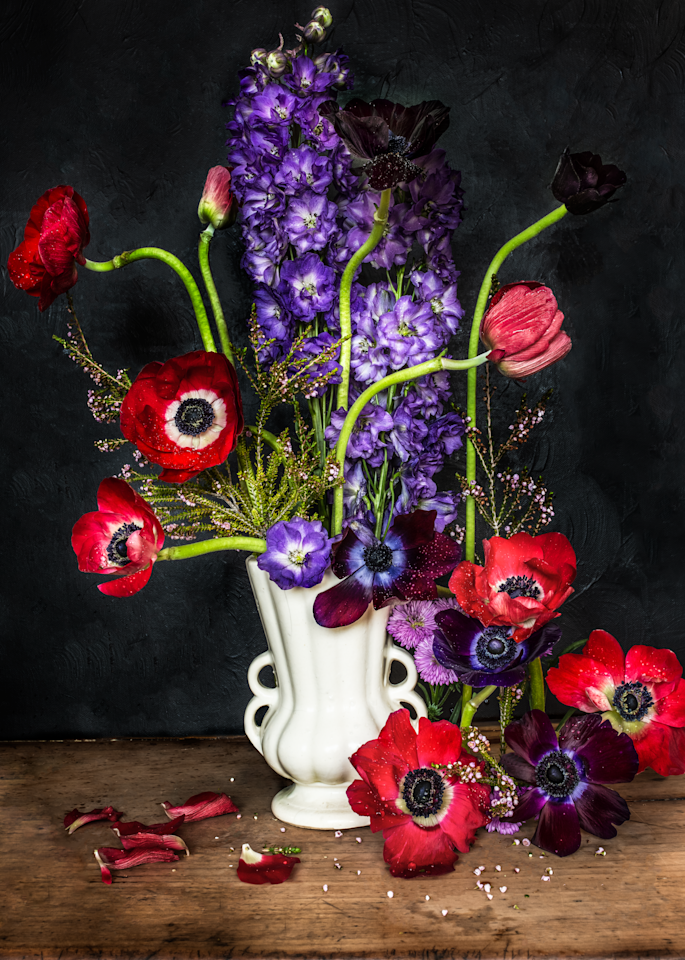 Red Anemone Photography Art | The Elliott Homestead, Inc.