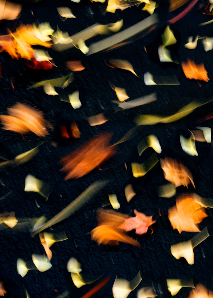 Falling Photography Art | Jerry Downs