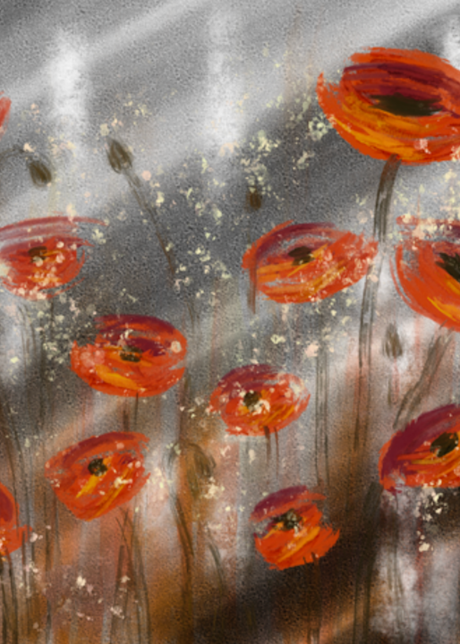 Twilight Poppies Art | M² Canvas Worx