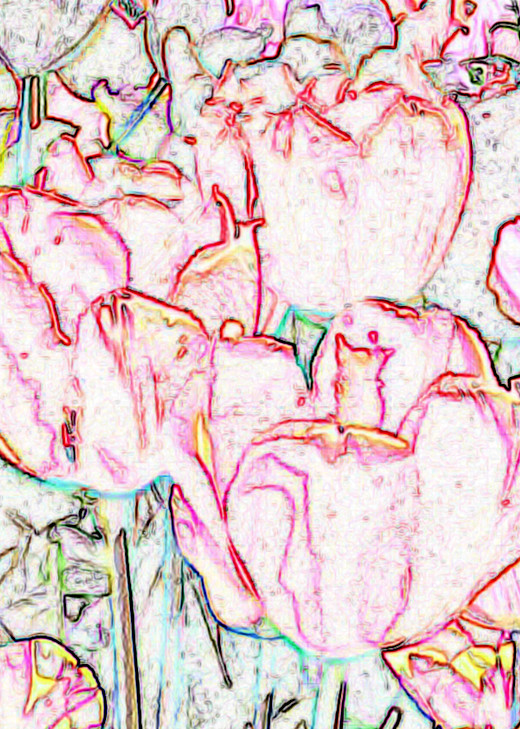 Edges Of Tulips Art | Studio Artistica