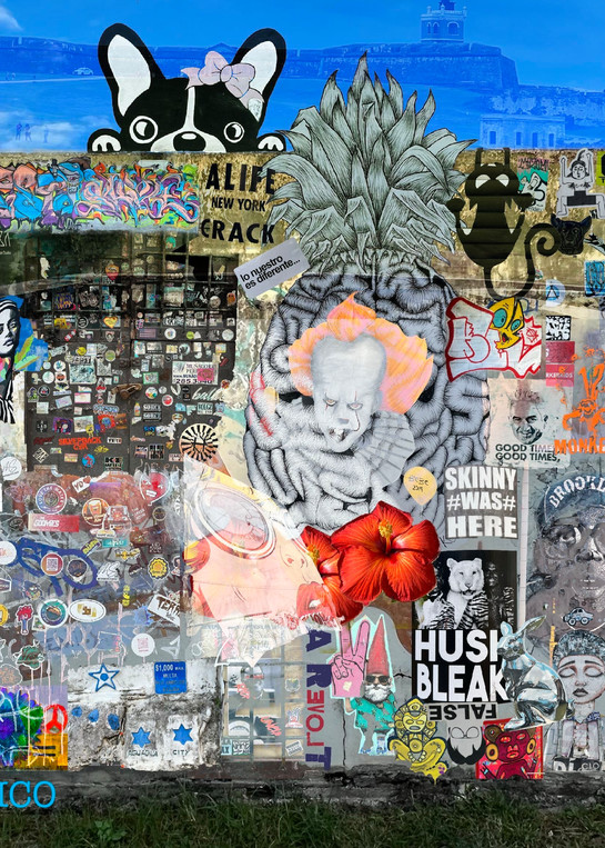 Puerto Rico   Street Stickers Collage Photography Art | arevolt64