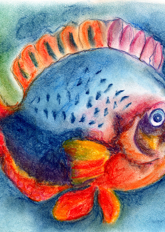 Senor Fish Art | Jeanine Colini Design Art