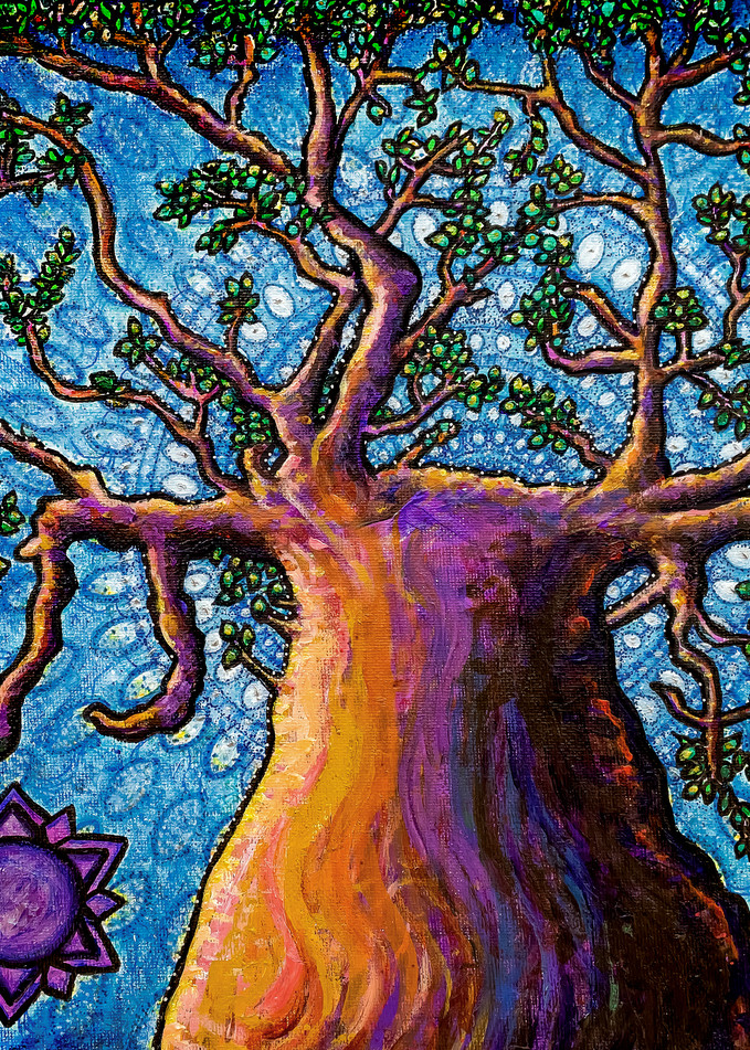 connected crown chakra baobab tree meditation