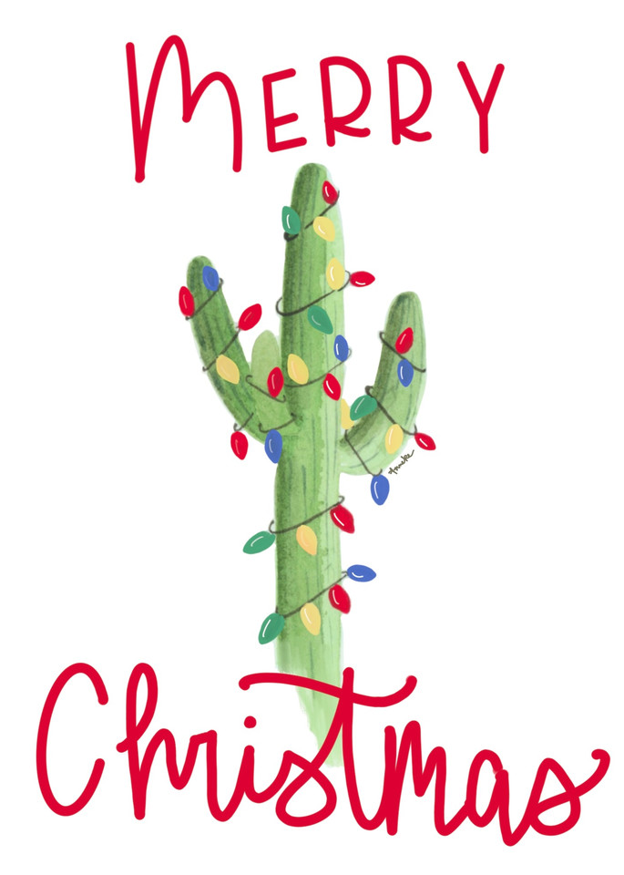 Christmas Cactus Card Art | Anneke Swanson Art