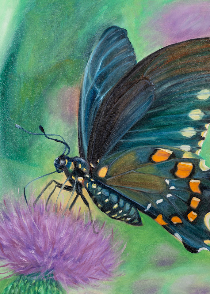 Butterfly I Art | WallSpeak Designs