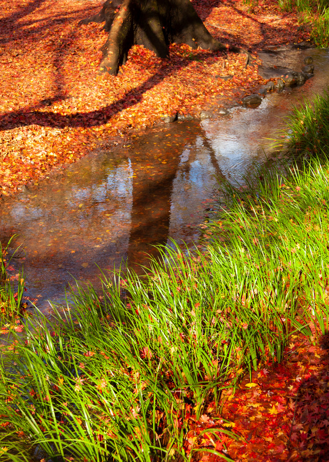 Kyoto Stream In Autumn Photography Art | Russel Wong Photo Art