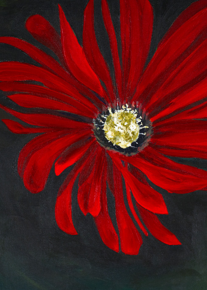 Red Baja Blossom