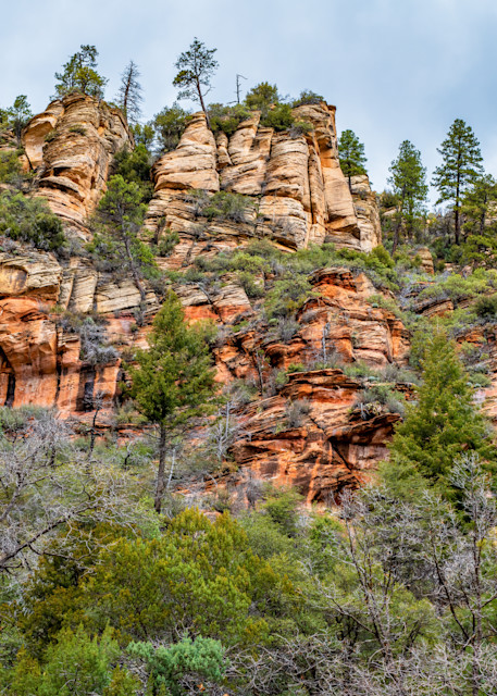 Oak Creek Canyon   West Fork Trail Photography Art | Susie Rivers Photography