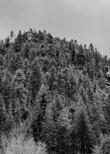 Oak Creek Canyon In Black And White Photography Art | Susie Rivers Photography