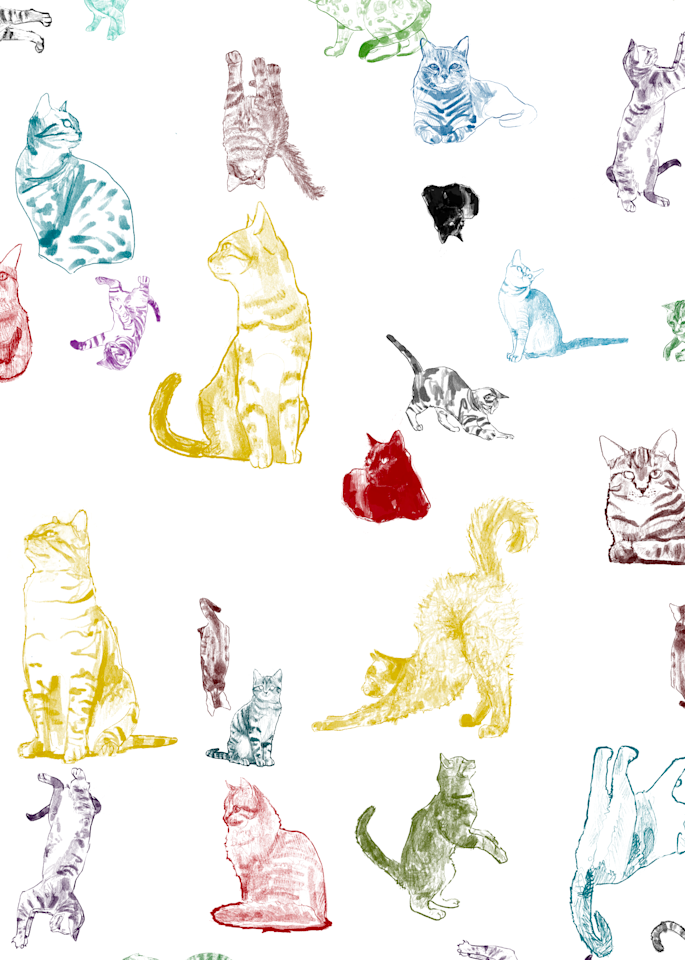 Cat and Tarot Art Prints