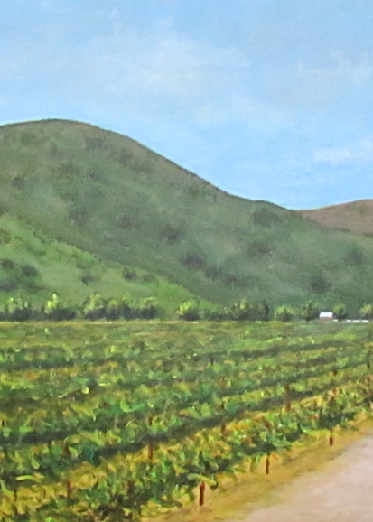 Flying To The Winery 164 2 1 Art | Jeanie Watson