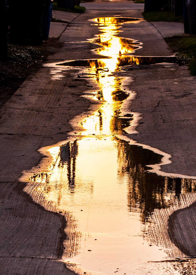 Puddle In My Alley Photography Art | Claudia F Coker Photography LLC