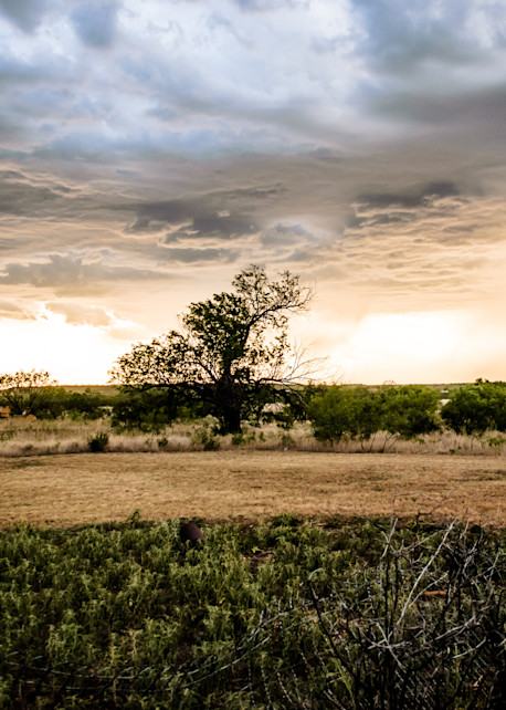 Storm Behind The Ranch Photography Art | Claudia F Coker Photography LLC