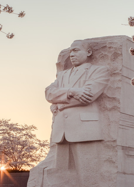 Martin Luther King, Jr. Memorial during Cherry Blossom season at sunrise in Washington, DC - Fine Art Print