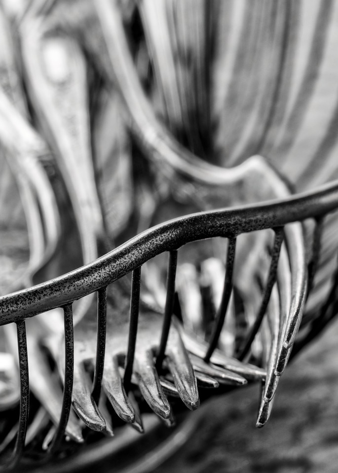 John E. Kelly Fine Art Photography – Forks in Basket - Silver