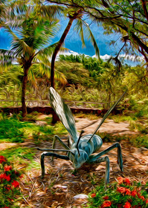 Hawaii   Tropical Garden   Omaste Witkowski Art | Artworks