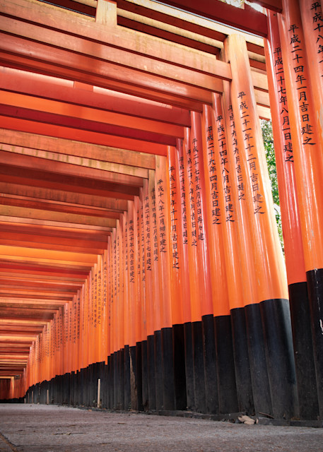 Kyoto   Fushimi Inari Shrine Photography Art | Matthew J Photos