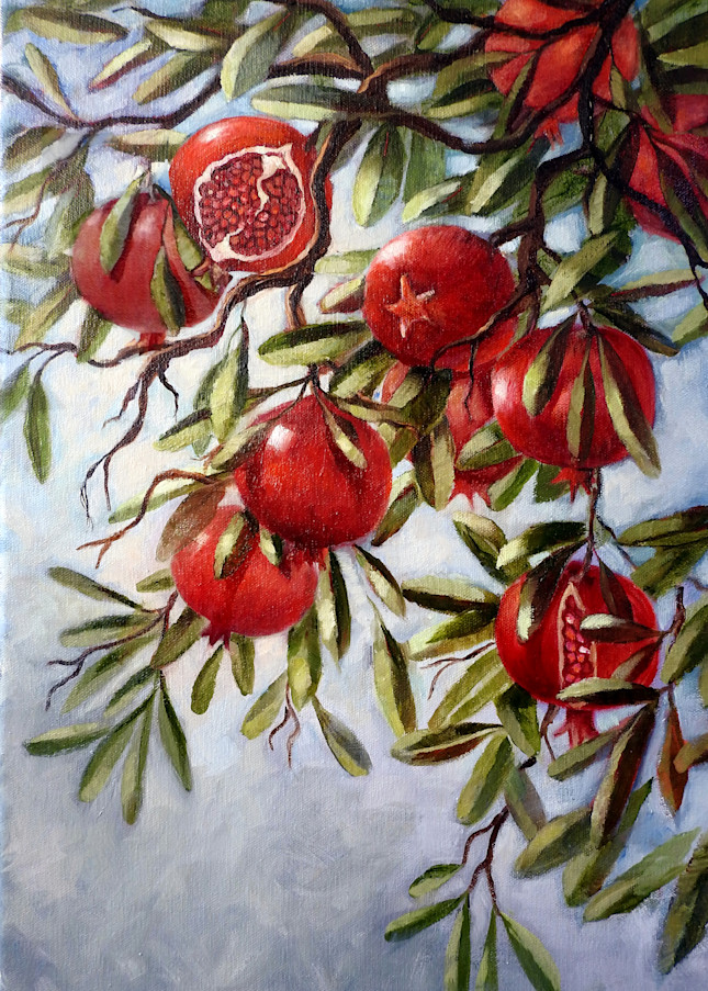 Pomegranates  Art | Geraldine Arata