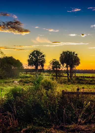 Rural Florida Sunset