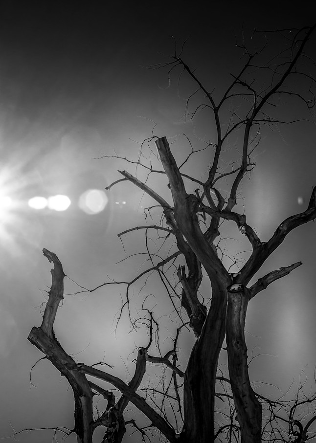 Dead Spotlight