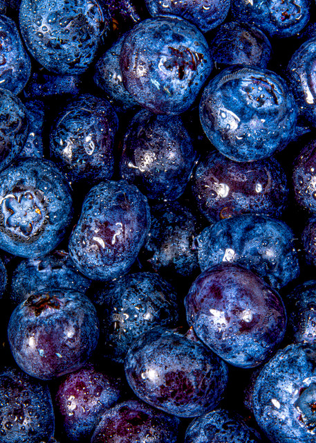 Organic Blueberries Photography Art | jt Photo Images