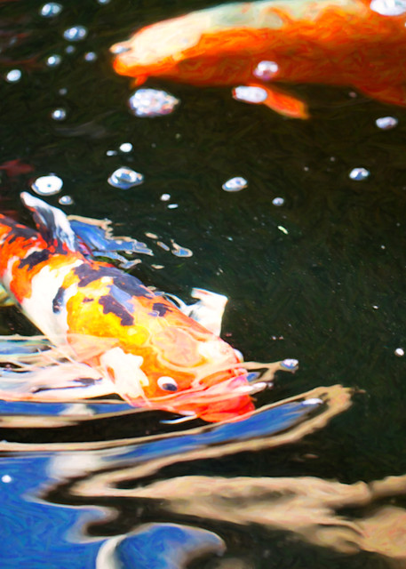 Koi Pond Fish   Making Waves   By Omaste Witkowski Art | Artworks