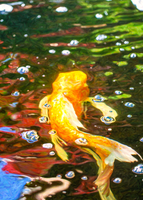 Koi Pond Fish   Colorful Surprises   By Omaste Witkowski Art | Artworks