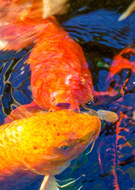 Koi Pond Fish   Kissing Sunshine   By Omaste Witkowski Art | Artworks