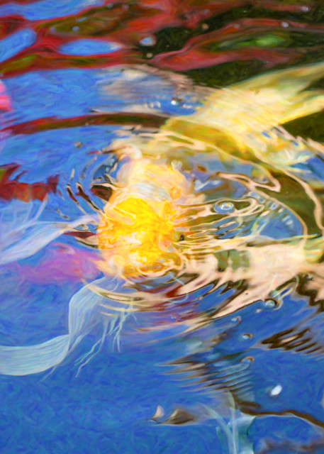 Koi Pond Fish   Swirling Emotions   By Omaste Witkowski Art | Artworks