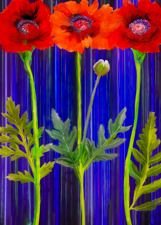 Three Poppies Art | Light Pixie Studio