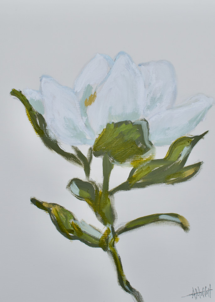 Giclee Art Print - Magnolia; Queen of the South I- by contemporary Impressionist April Moffatt