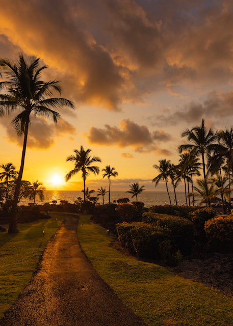 Tropical garden at sunset in Hawaii.