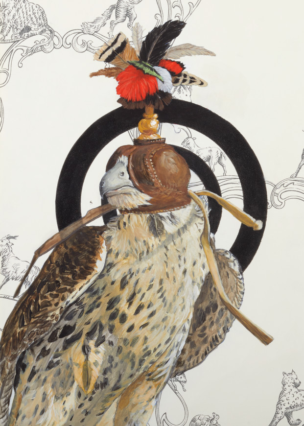 Hooded Falcon Art | Bill Samios Studio
