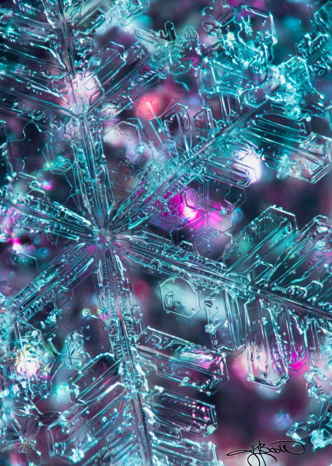 Large Stellar Dendrite On Confetti Glue Photography Art | Real Snowflake Photography LLC