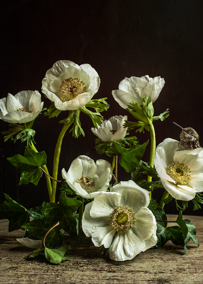 White Anemone Photography Art | The Elliott Homestead, Inc.