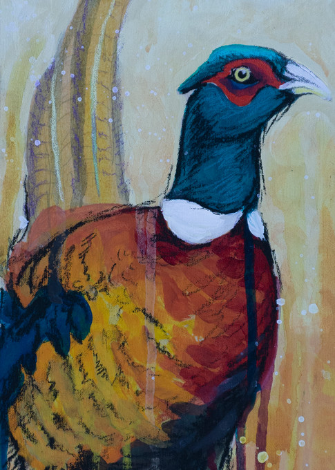 Pheasant Art | Kelsey Showalter Studios